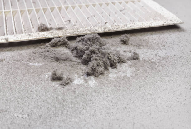 Best Affordable Duct Cleaning Services  in Millcreek, UT