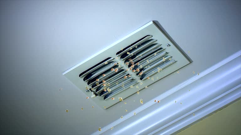 Best Best Air Duct Cleaning Company  in Millcreek, UT