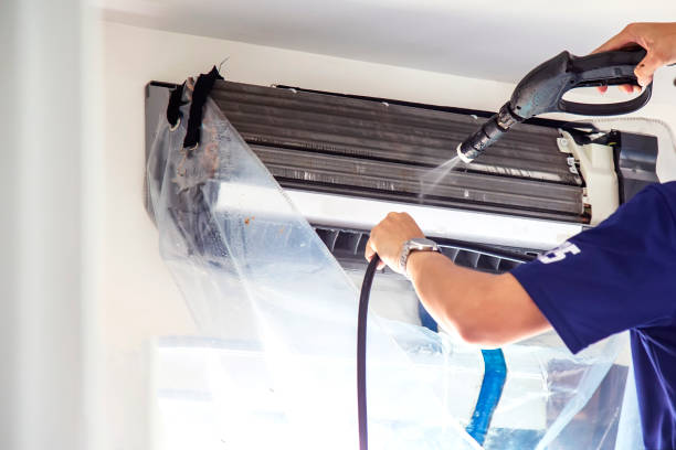 Air Duct Mold Removal in UT
