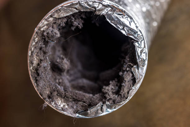 Best HVAC Air Duct Cleaning  in Millcreek, UT