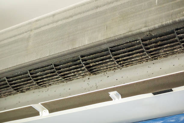 Best Best Air Duct Cleaning Company  in Millcreek, UT