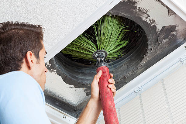Best Affordable Duct Cleaning Services  in Millcreek, UT